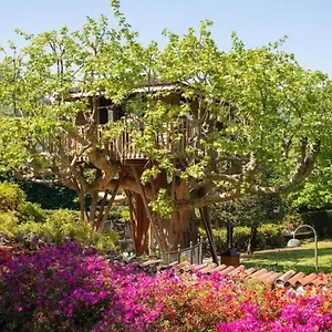 lake-como-dream-tree-house.it-lombardy.com/